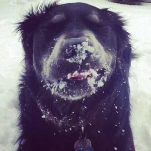 Meet your Posher, Hillary